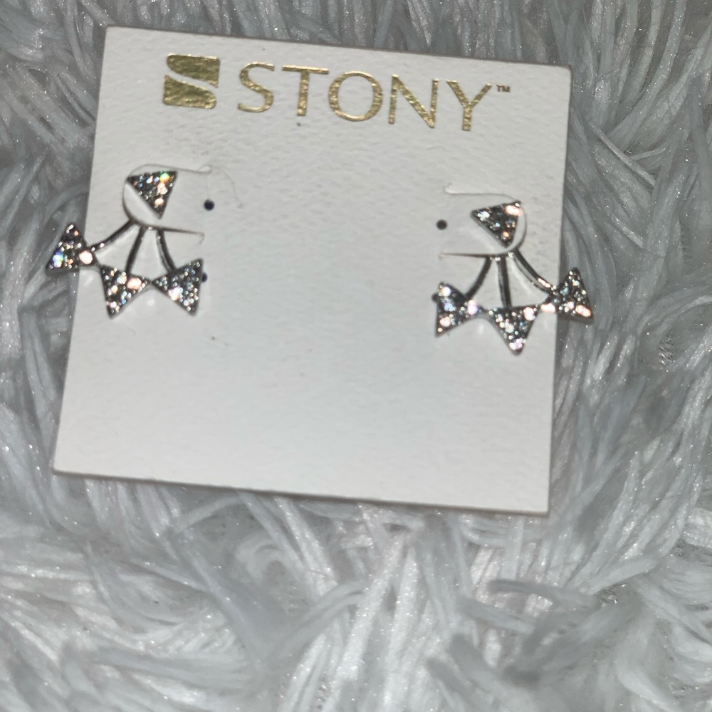 Silver Studded Earrings
